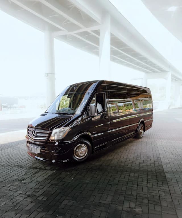 Sprinter-Van